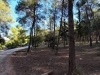 ΣΥΜΒΑΣΗ ΠΡΟΜΗΘΕΙΑΣ ΓΙΑ ΤΟ &quot;ΑΛΣΟΣ ΑΓ. ΔΗΜΗΤΡΙΟΥ&quot;: ΑΔΙΑΦΑΝΕΙΑ ΚΑΙ ΑΝΑΠΑΝΤΗΤΑ ΕΡΩΤΗΜΑΤΑ...